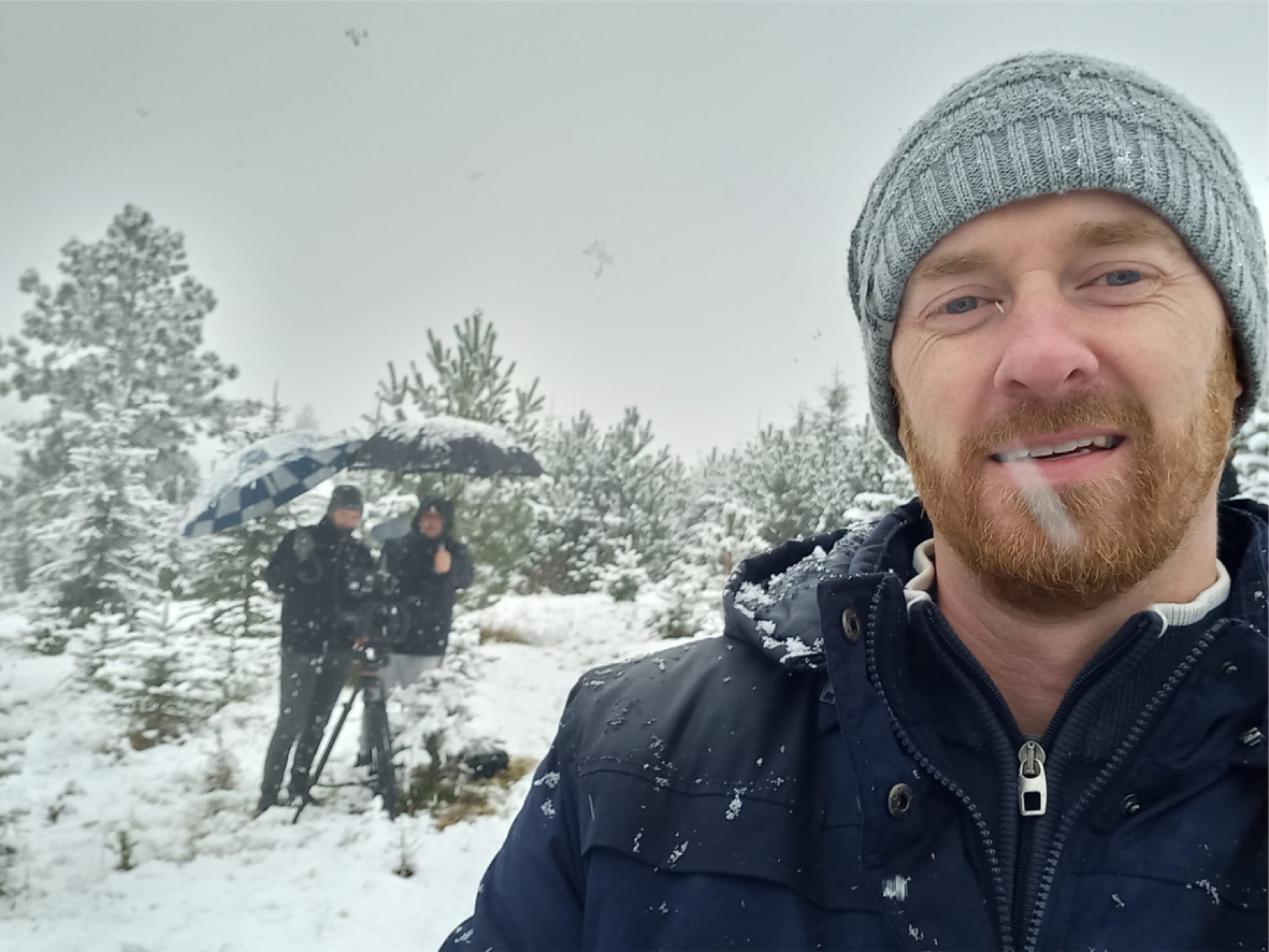 Je vánoční stromeček "nedotknutelný symbol"?