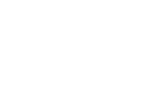 logo spedos